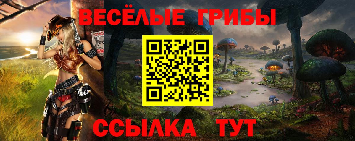 Псилоцибиновые грибы Psilocybine cubensis  наркошоп  Галлюциногенные грибы прущие грибы  Кимовск  Вход с VPN 
